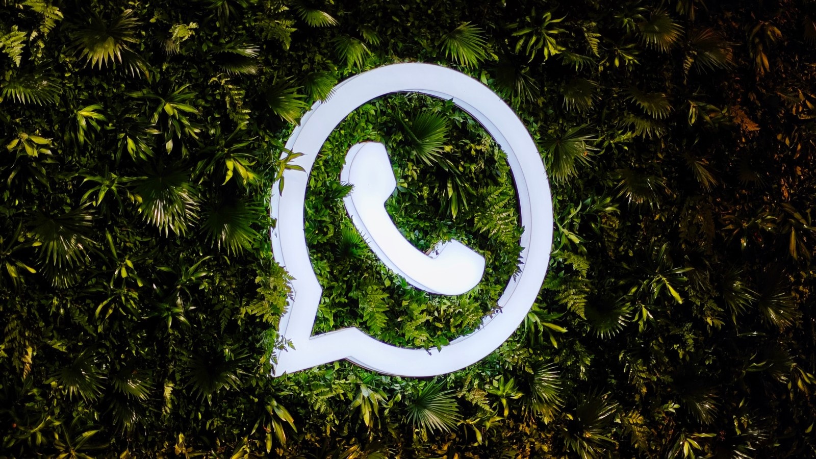 Where Does WhatsApp Targeted Chat Data Come From? Try WhatsApp number screening software.